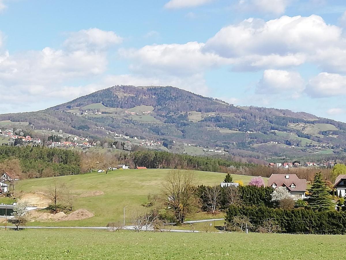 Ferienwohnung Wachmann Rohrbach am Kulm Номер фото